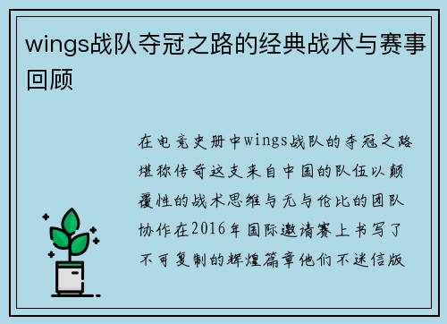 wings战队夺冠之路的经典战术与赛事回顾